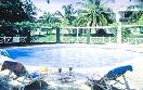 Goblin Hill Hotel Villas in Port Antonio - Jamaica - Kingston