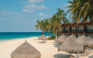 Divi Aruba - Resort