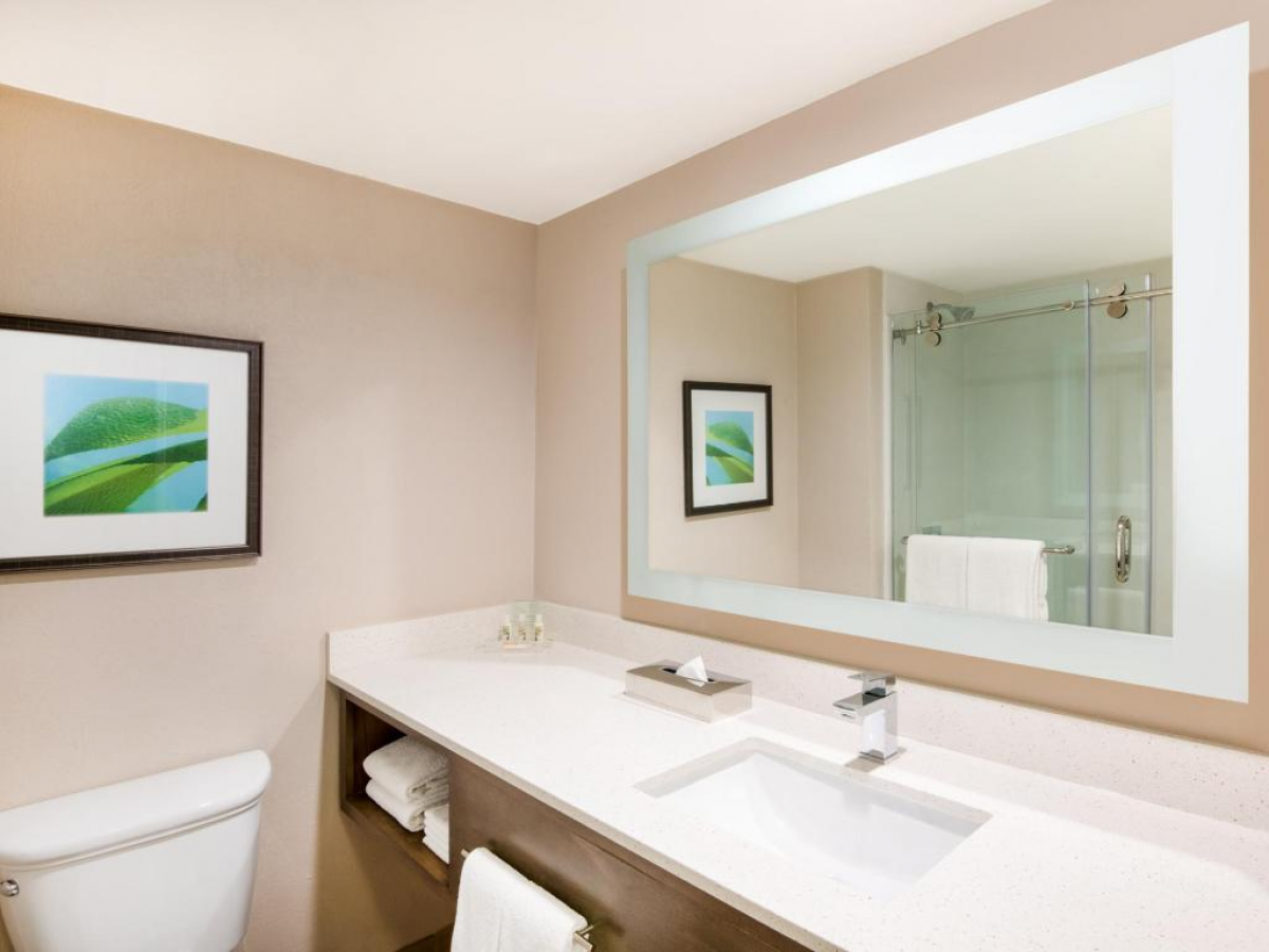 Holiday Inn Aruba Bathroom