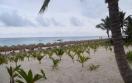 Riu Republica Punta Cana - Beach