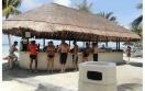 Oasis Palm Cancun - Pool Bar