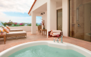Hyatt Ziva Puerto Vallarta Mexico - One Bedroom Plunge Pool Suite King