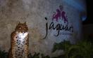Barcelo Maya Colonial Riviera Maya Mexico - Jaguar's Disco