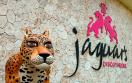 Barcelo Maya Palace Riviera Maya Mexico - Jaguar's Discot